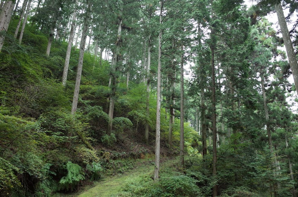 Desainer kayu asal Nara Okuyamato, Jepang, akan menampilkan karyanya di pameran ‘INTO THE WOODS’