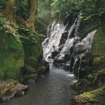 Discovering Kanto Lampo Waterfall: A Serene Escape in Bali’s Hidden Gem